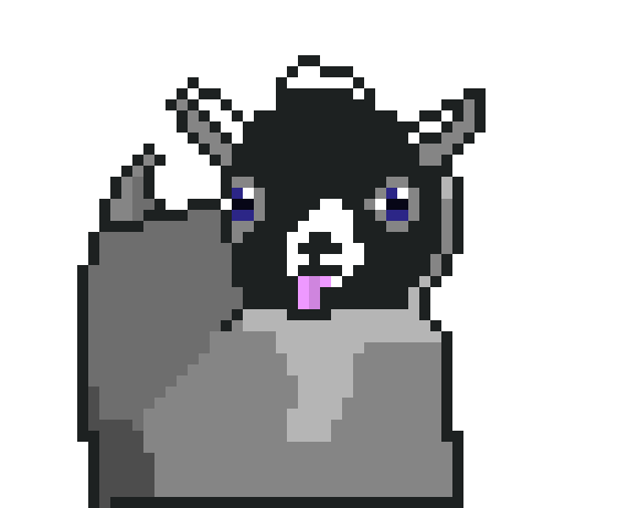 [9664c4] Baby Pygmy Goat