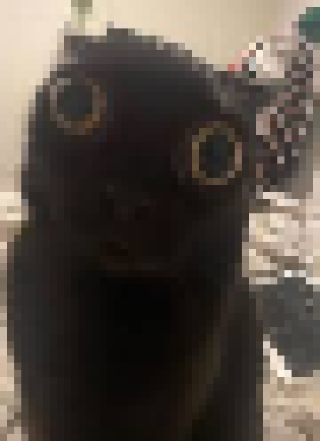 [35dc76] no... FUCK ME YOURSELF, 𝗖𝗢𝗪𝗔𝗥𝗗!!