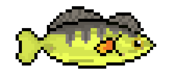 [650301] Yellow Perch