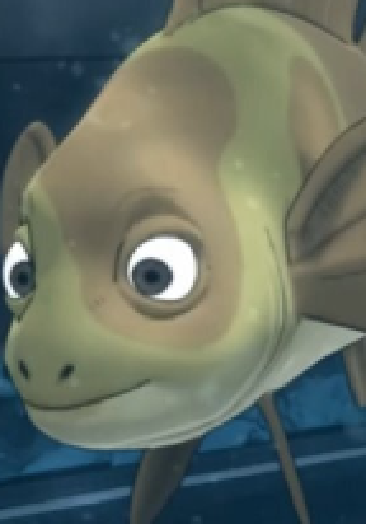 [6b9d15] when your favorite movie is about fish killing each other so theres no "bad" scenes