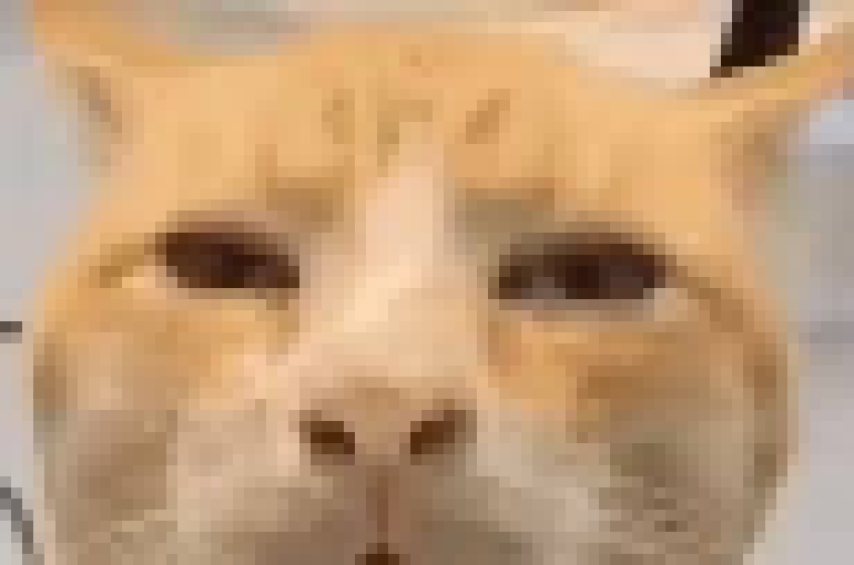 [35dc76] i hunger, i must devour.