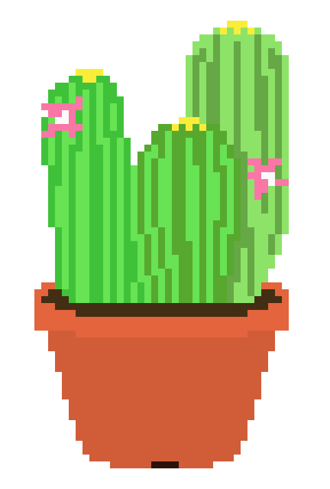 [9664c4] Cacty Cactus