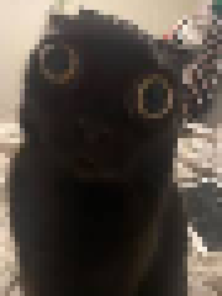 [35dc76] i killed them a- i mean uh i mean idk