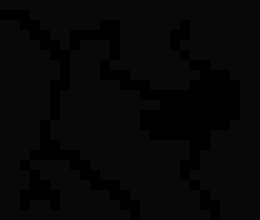 [6eba0a] OKAY, WHY ARE PEOPLE USING VOID AS A NAME?! +~CadmusTheDragon/13~+