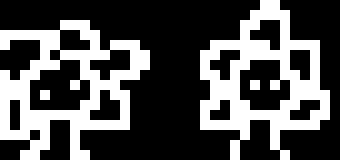 [224a35] you wouldn't hurt a little seedling now would you?