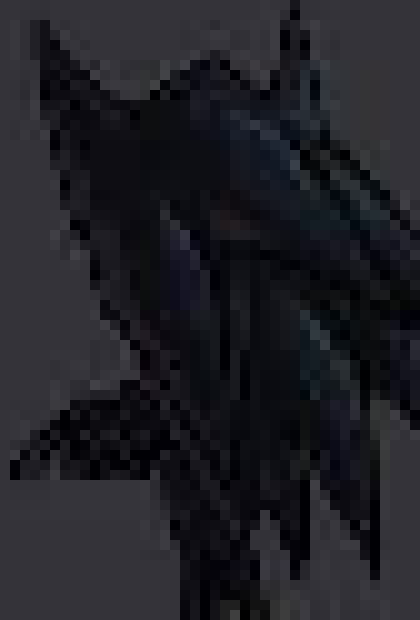 [d936de] this was an argument? I thought you guys were just jumping the idiot in the room