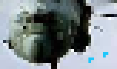 [842b2e] Get real and play Multiplayer, unless you don't have the full game.