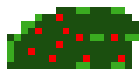 [9664c4] çim