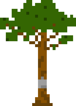 [db1555] DrainedTree2