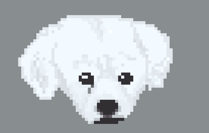 [2c27ea] This is my dog!