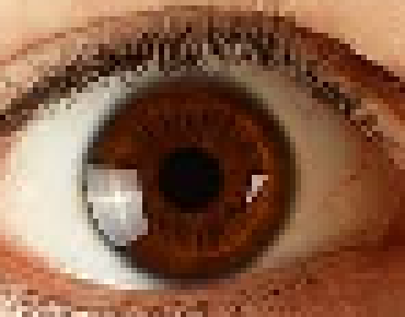 [2faceb] Imma be real i do not see any Pokemon in main 