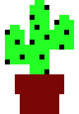 [9664c4] Cacti