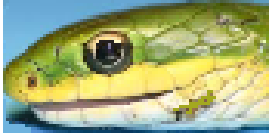 [85c139] sssssssnake