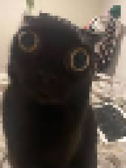 [35dc76] shit your pants.