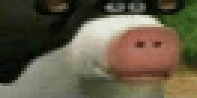 [22ce6d] Your kneecaps. Hand them over.