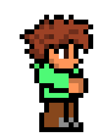 [9664c4] Terraria Character