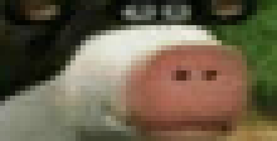 [fcc22b] -stares at tiny conner thru the window- -Otis