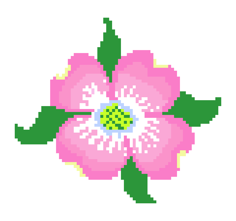 [9664c4] dogwood blossom