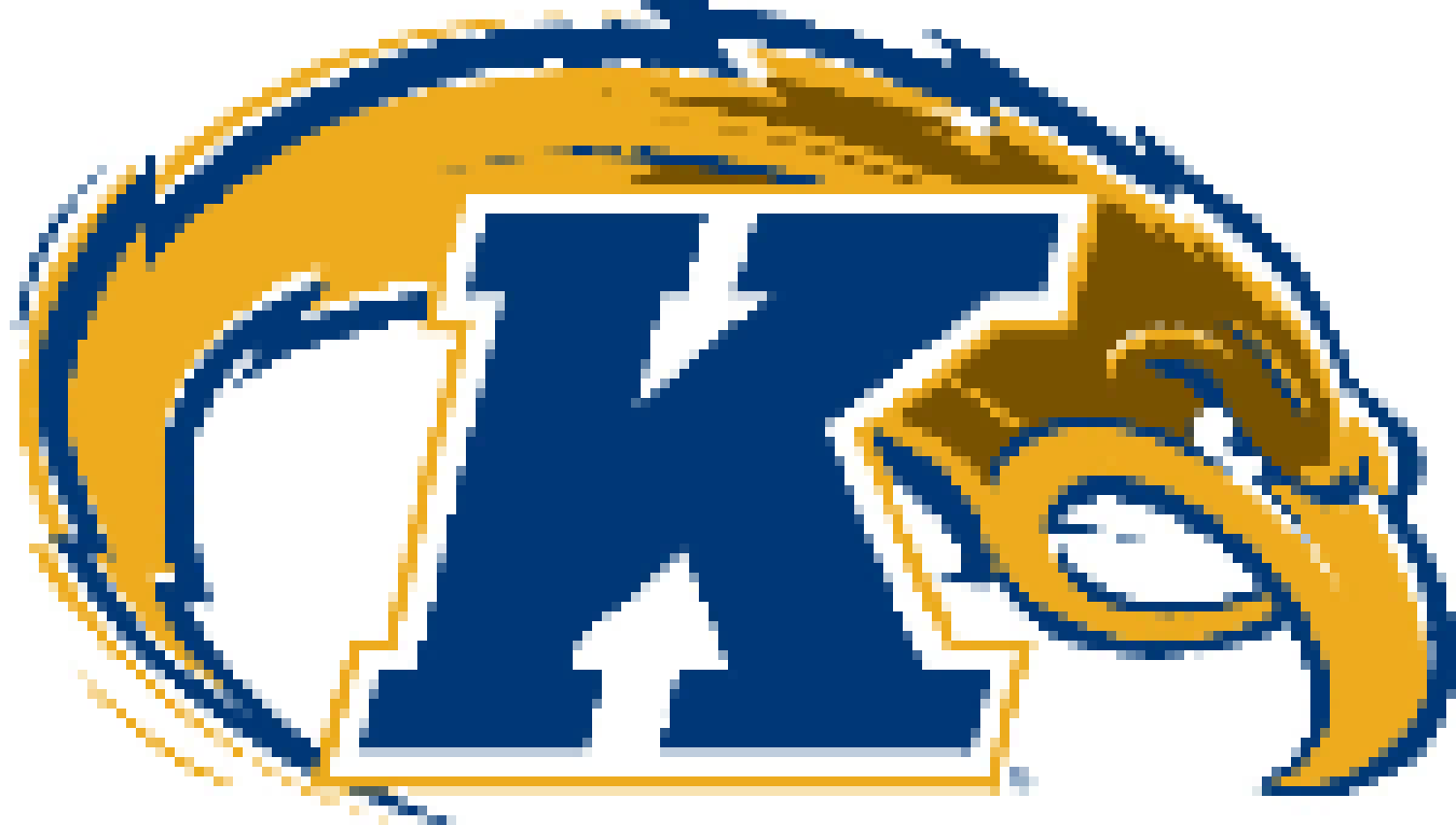 [b1c601] Pixel Flash