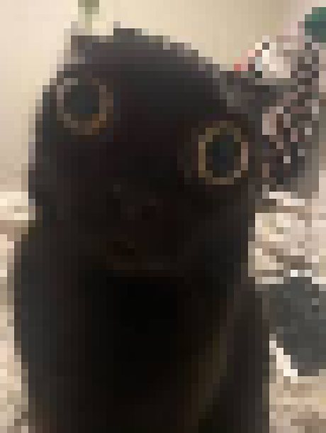 [35dc76] congrats! you are now in a body that is trapped under sand from the neck down and is physically unable to get out no matter what you do! (its also covered in molten glass)