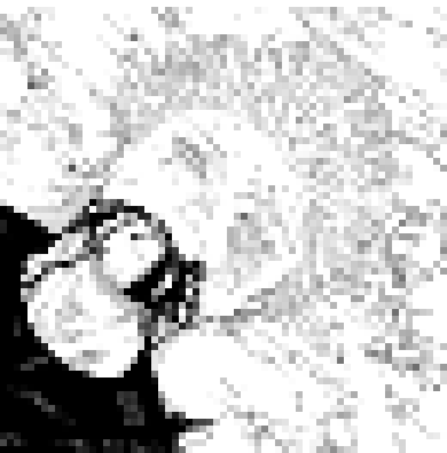 [006d2b] no way they based this shit off of Luna's work twin thinks they're him