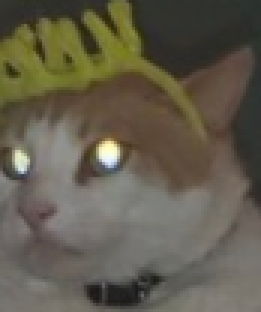 [d0027a] ah, hello bac, Im King George. nice to meet you.-King George