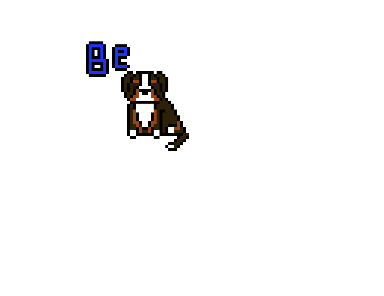 [9664c4] bernese mountain dog