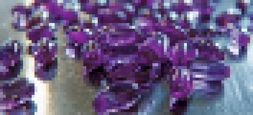 [846e3b] these gummies busting