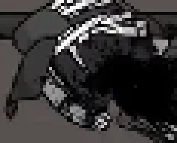 [d936de] what are y'alls Roblox usernames