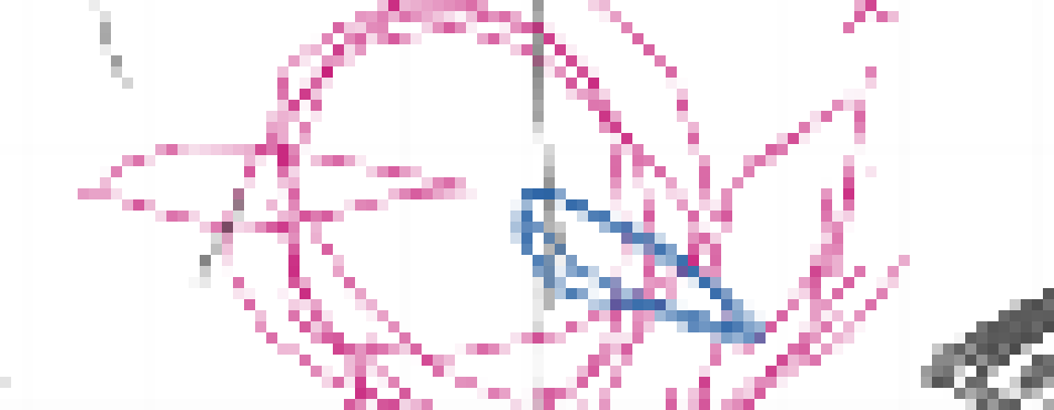 [b31d51] Also on what you said, be someone like bmo? Well i am more carefree then bmo infact we are nothing unlike.