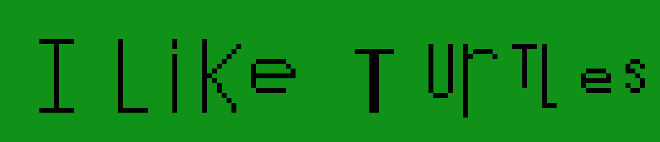 [9664c4] I LIKE TURTLES