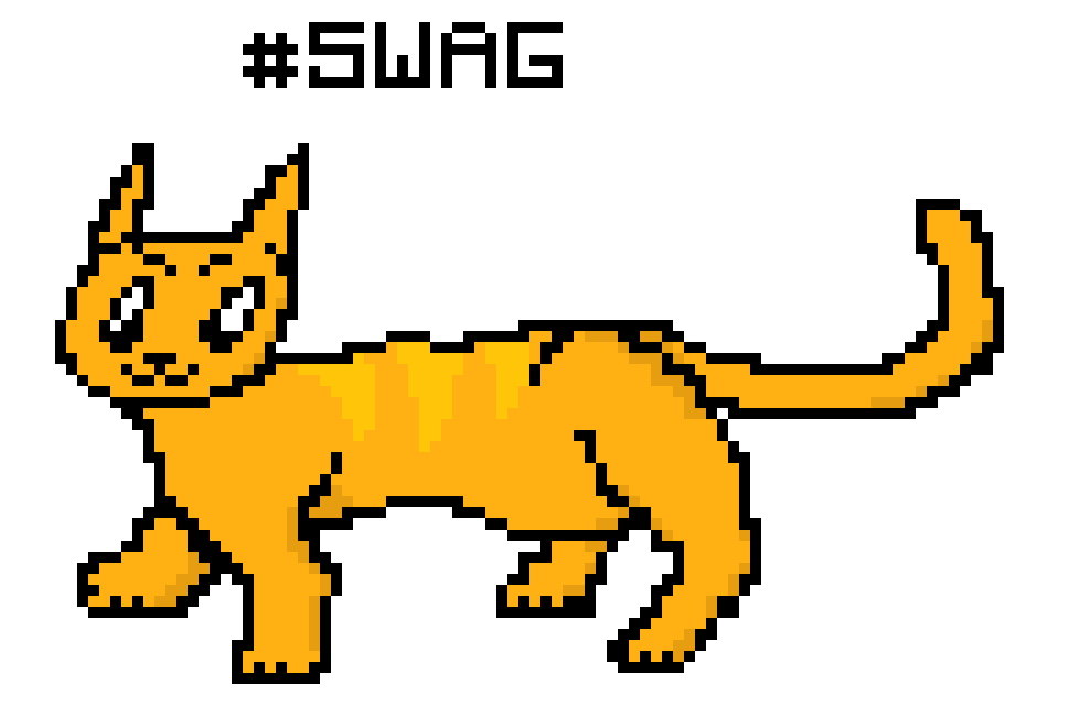 [9664c4] SWAG CAT