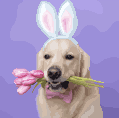 [e7d875] easter_ca_55