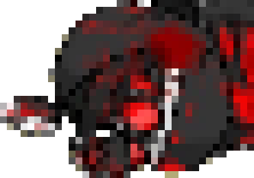 [082edb] I keep seeing these worms in my eyhes