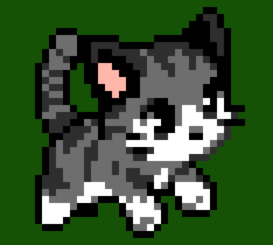 [9664c4] Kitten