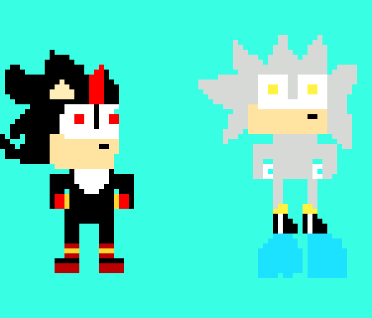 [49016e] Shadow And Sliver the Hedgehog