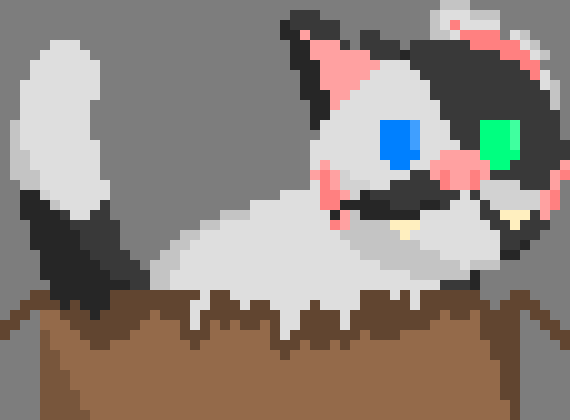 [d0027a] *finishes the mouse and sits up in her box*-Oreo