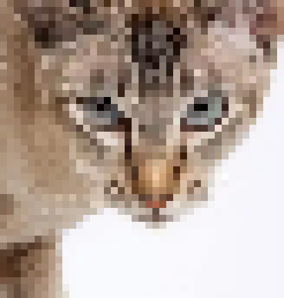 [1f86ca] low quality ahh cat