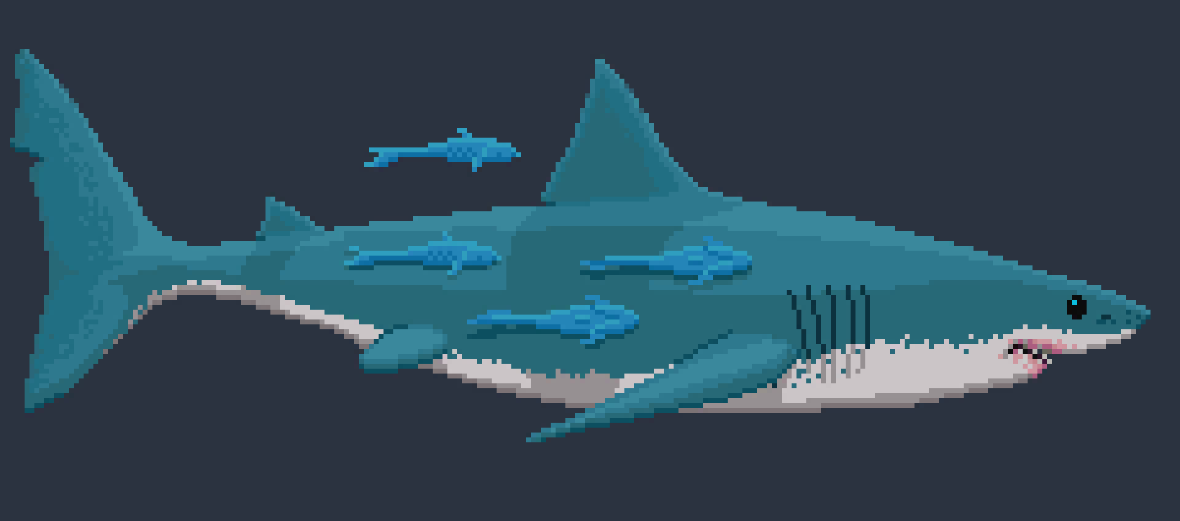 [4a2a29] -[ The 9m shark stares at Timmy with malcious intent ]-