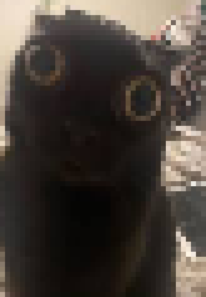 [35dc76] how does bro not crush the earth below him