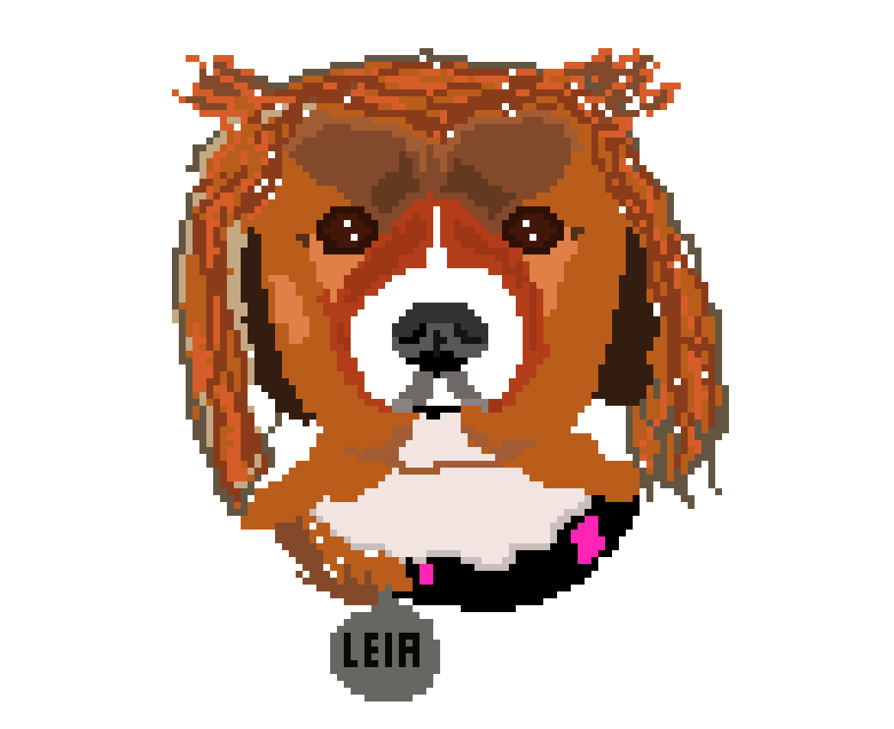 [9664c4] Scuffed Leia