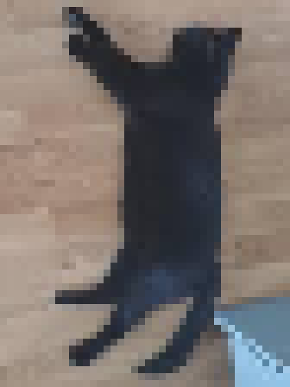 [35dc76] it is so sad that he had to go out like this