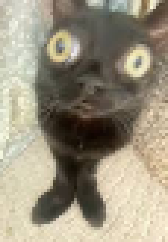 [35dc76] elp,.,.,.,..,