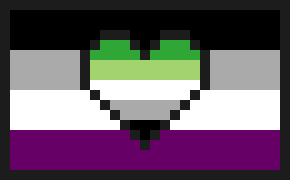 [9664c4] aro-ace flag