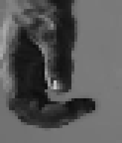 [ad439c] *Poofy clenches his super vein-y fist* 