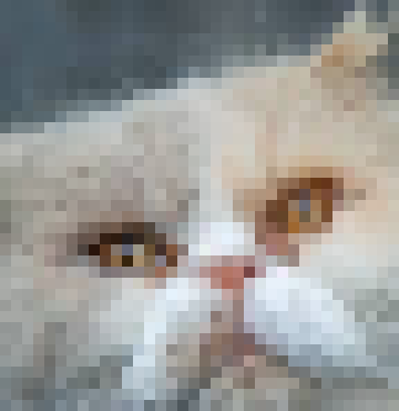 [1f86ca] cat still funny?