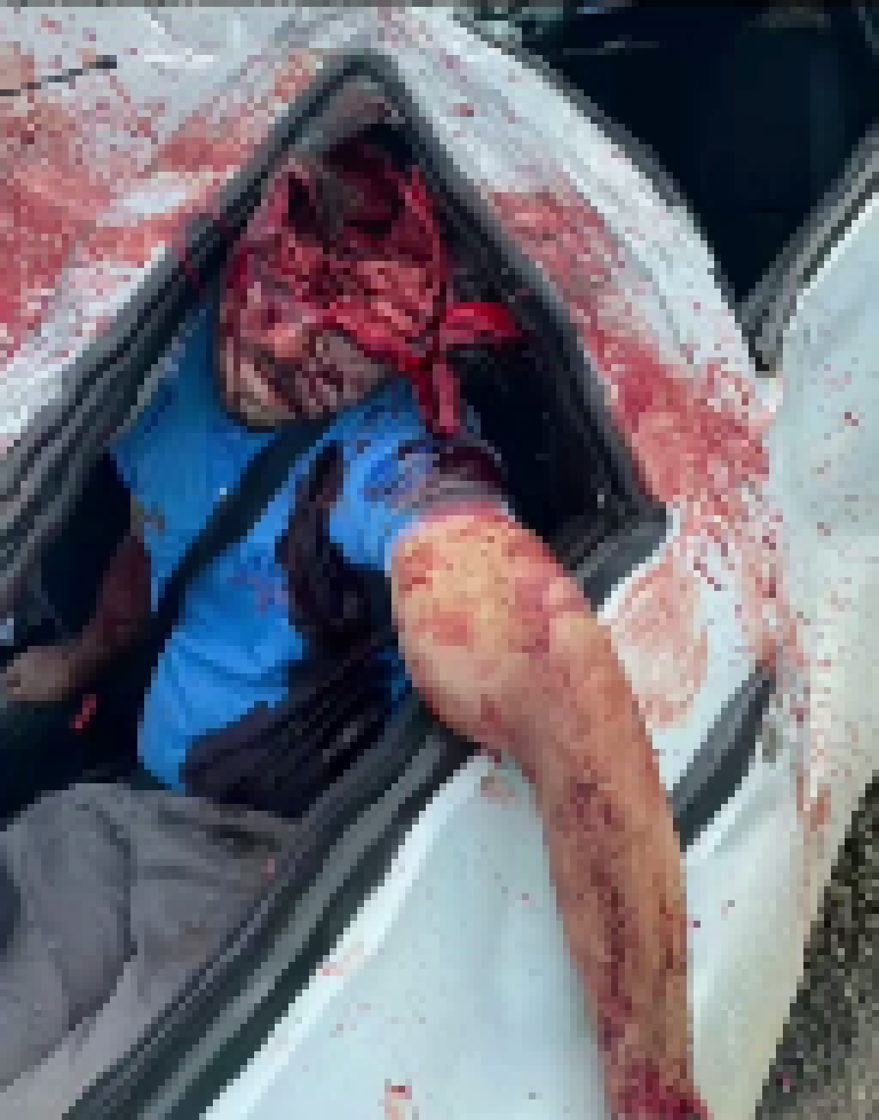 [5f54f2] Birthday present for para-one-eye, all thanks to sc! say "THANK YOU SC!!!" now say it with me THANK YOU SC!!!