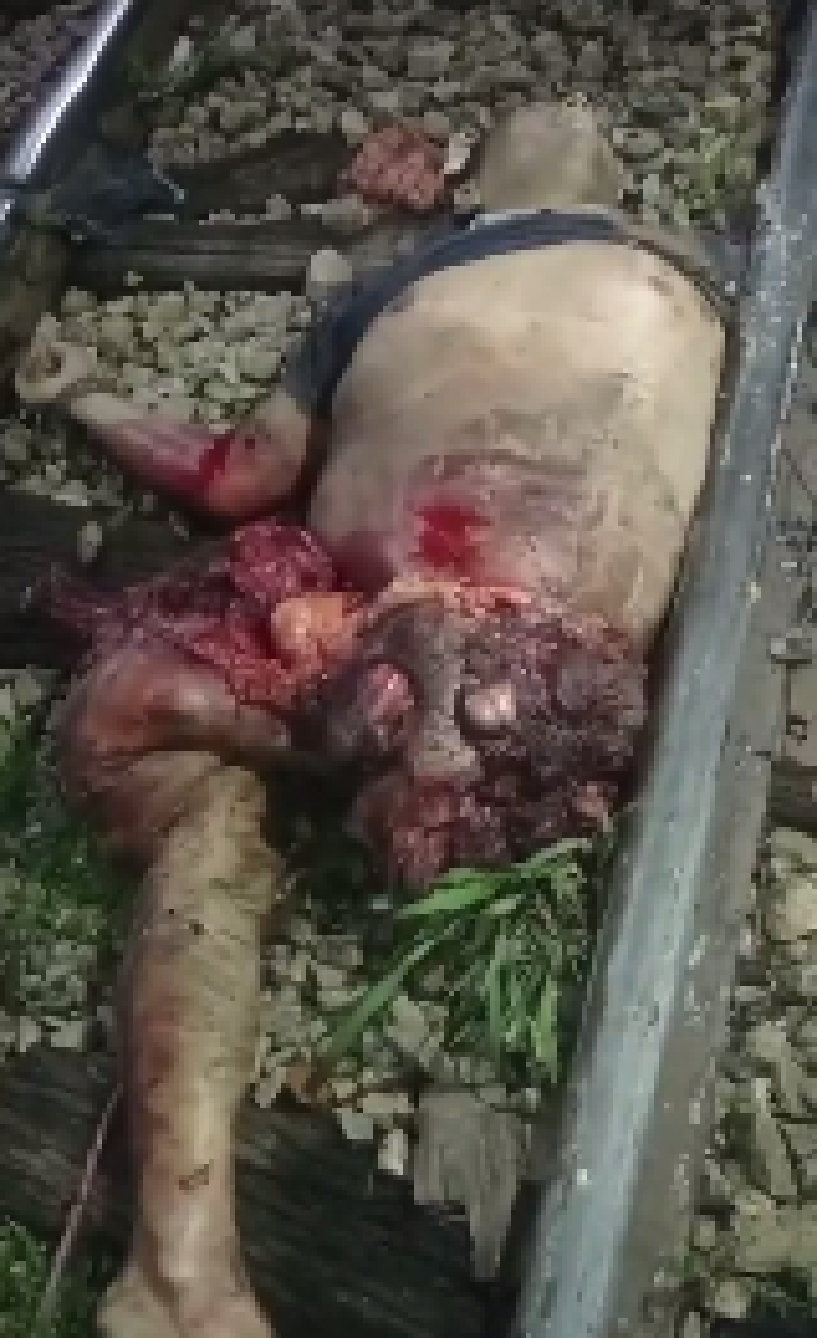 [eca6d1] Big thanks to gorecenter.com for supplying my content.