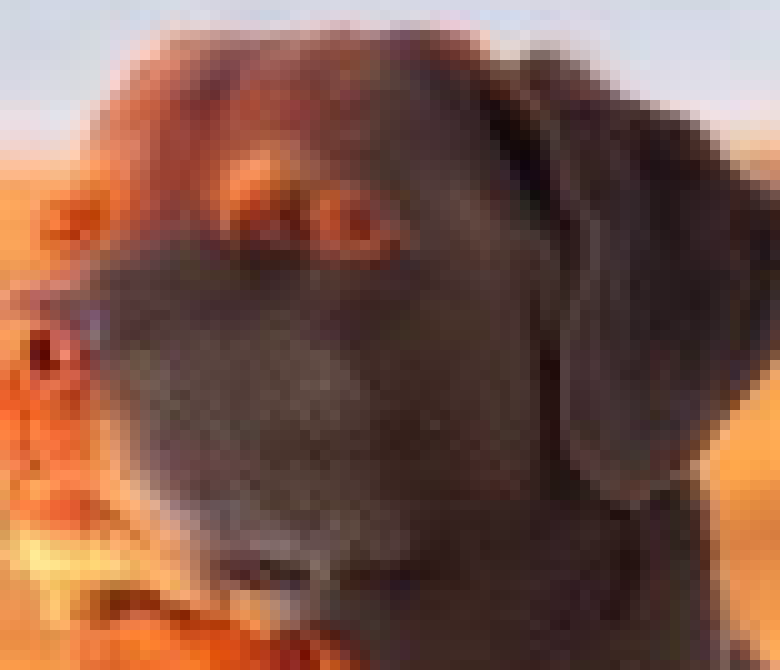 [63ea65] oh my. AGAHAHAGAHSG i'm awesome.