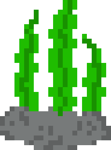 [849554] seaweed